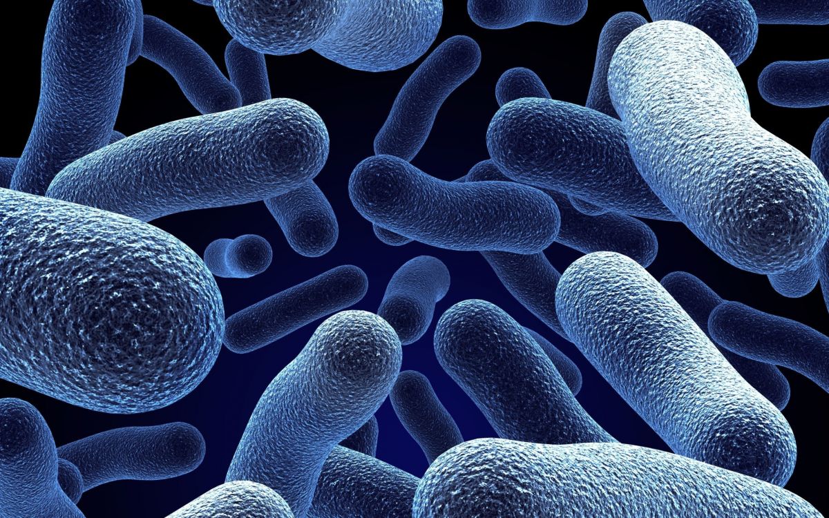 microorganisms
