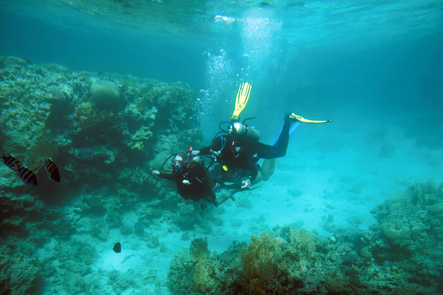 marine-environment