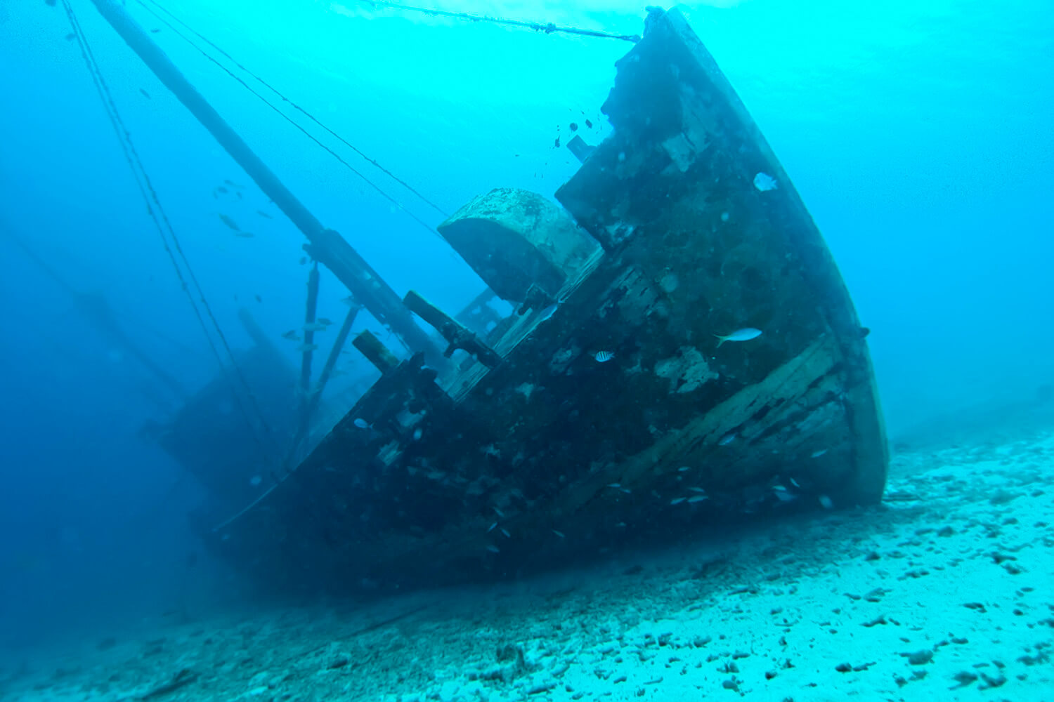 marine-ecosystem