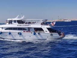 Scuba Academy I