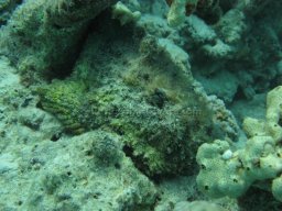 Egypt Underwater