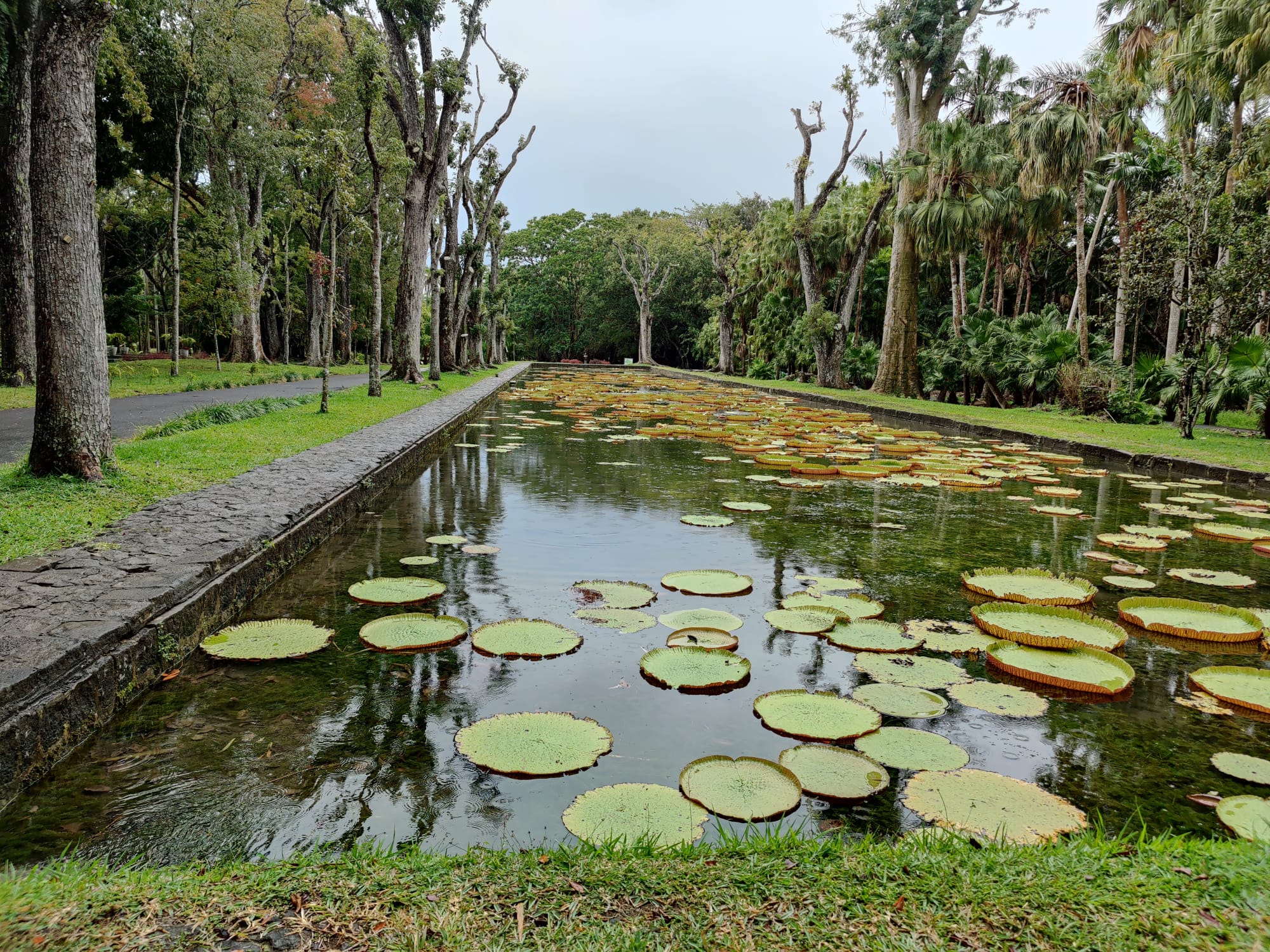 botanical garden